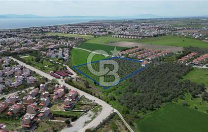 İZMİR DİKİLİ SALİHLERALTINDA 15.042 m² SATILIK ARAZİ