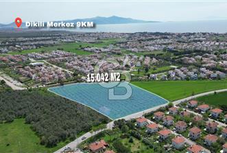 İZMİR DİKİLİ SALİHLERALTINDA 15.042 m² SATILIK ARAZİ
