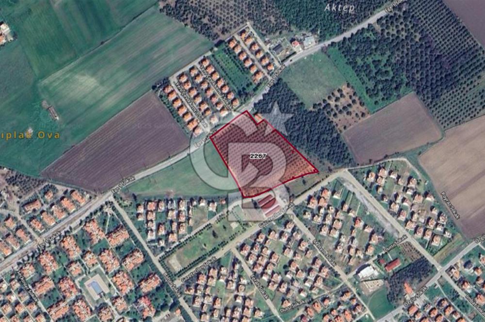 İZMİR DİKİLİ SALİHLERALTINDA 15.042 m² SATILIK ARAZİ