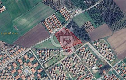 İZMİR DİKİLİ SALİHLERALTINDA 15.042 m² SATILIK ARAZİ