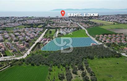 İZMİR DİKİLİ SALİHLERALTINDA 15.042 m² SATILIK ARAZİ