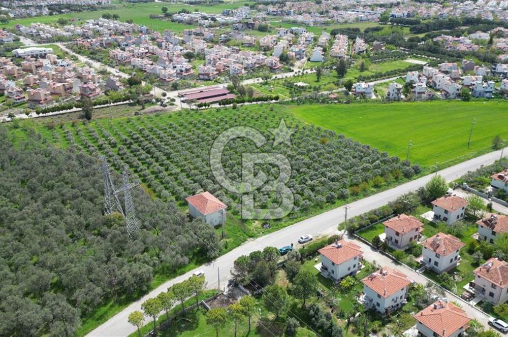 İZMİR DİKİLİ SALİHLERALTINDA 15.042 m² SATILIK ARAZİ