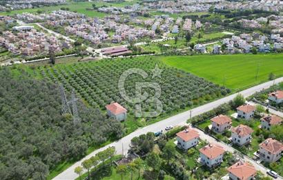 İZMİR DİKİLİ SALİHLERALTINDA 15.042 m² SATILIK ARAZİ