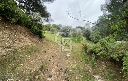 BUCA BATI ÇIKIŞI YAKINI SATILIK TARLA (dereköy mevkii)