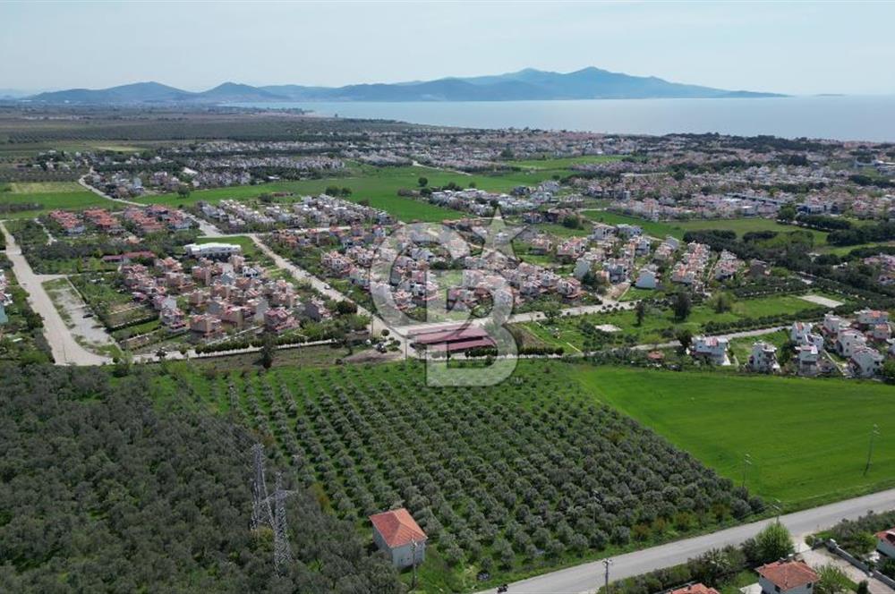 İZMİR DİKİLİ SALİHLERALTINDA 15.042 m² SATILIK ARAZİ
