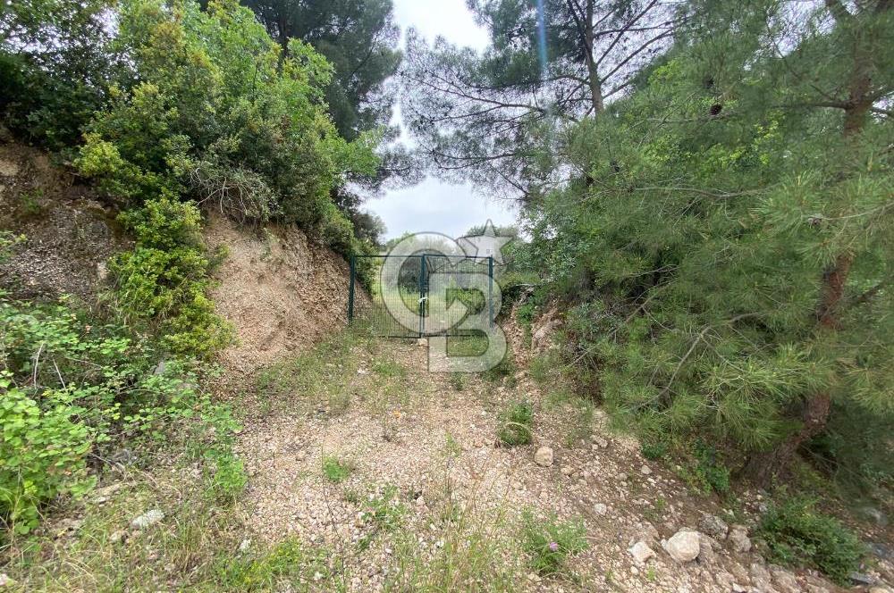 BUCA BATI ÇIKIŞI YAKINI SATILIK TARLA (dereköy mevkii)
