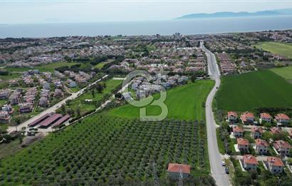 İZMİR DİKİLİ SALİHLERALTINDA 15.042 m² SATILIK ARAZİ