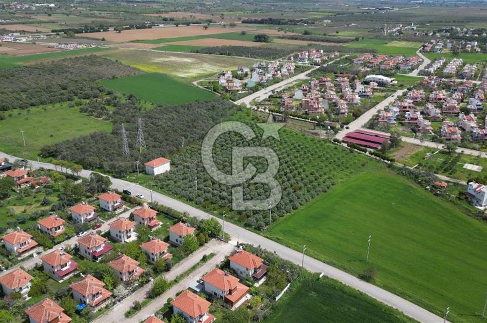 İZMİR DİKİLİ SALİHLERALTINDA 15.042 m² SATILIK ARAZİ