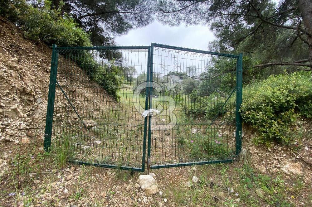 BUCA BATI ÇIKIŞI YAKINI SATILIK TARLA (dereköy mevkii)