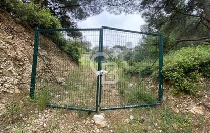 BUCA BATI ÇIKIŞI YAKINI SATILIK TARLA (dereköy mevkii)