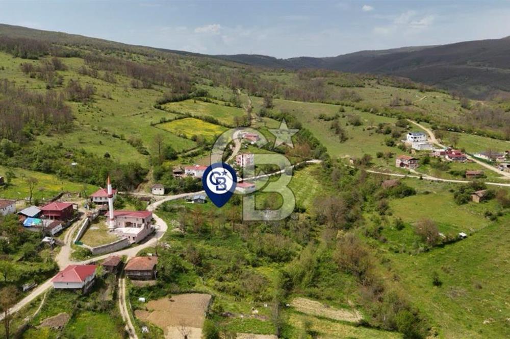 READY LIVING VINEYARD HOUSE IN THE VILLAGE FOR SALE + 837 M2 DEEDED LAND
