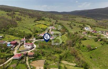READY LIVING VINEYARD HOUSE IN THE VILLAGE FOR SALE + 837 M2 DEEDED LAND