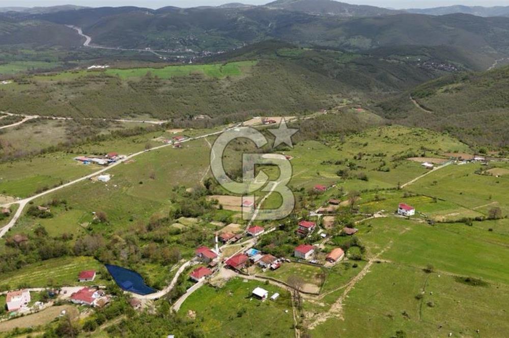 READY LIVING VINEYARD HOUSE IN THE VILLAGE FOR SALE + 837 M2 DEEDED LAND