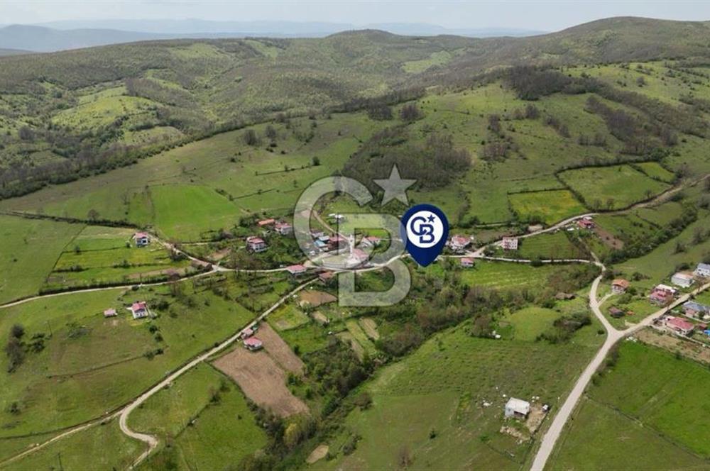 READY LIVING VINEYARD HOUSE IN THE VILLAGE FOR SALE + 837 M2 DEEDED LAND
