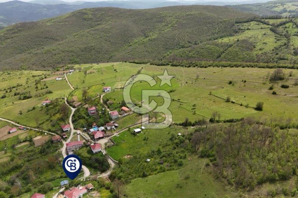 READY LIVING VINEYARD HOUSE IN THE VILLAGE FOR SALE + 837 M2 DEEDED LAND