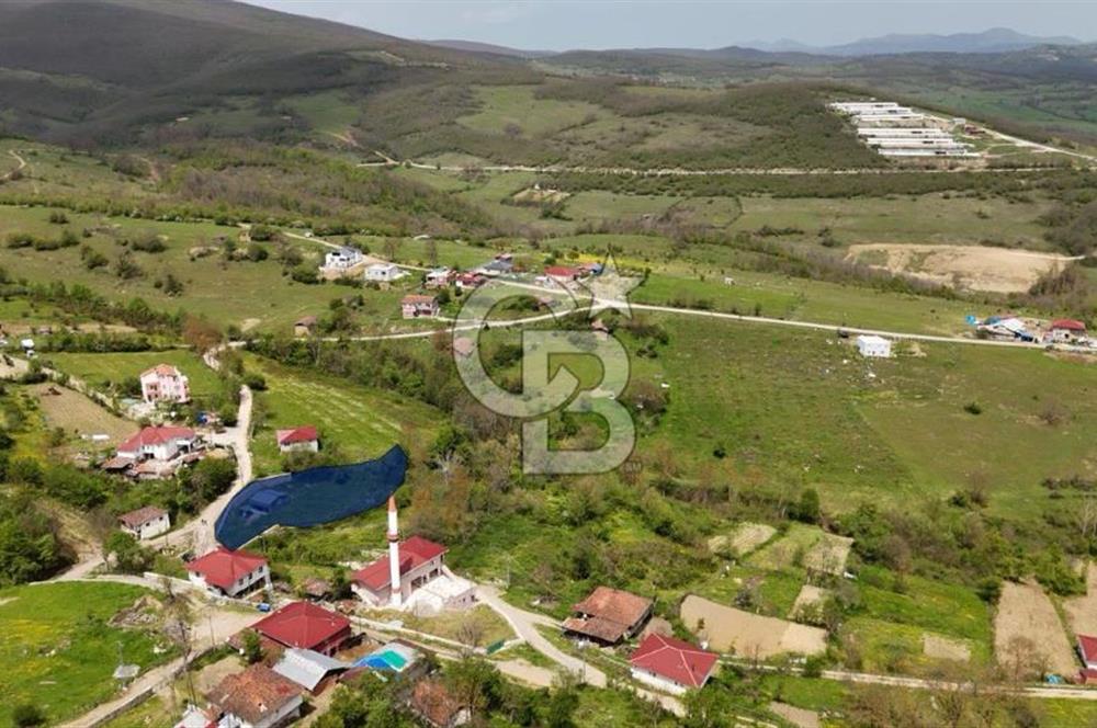 READY LIVING VINEYARD HOUSE IN THE VILLAGE FOR SALE + 837 M2 DEEDED LAND