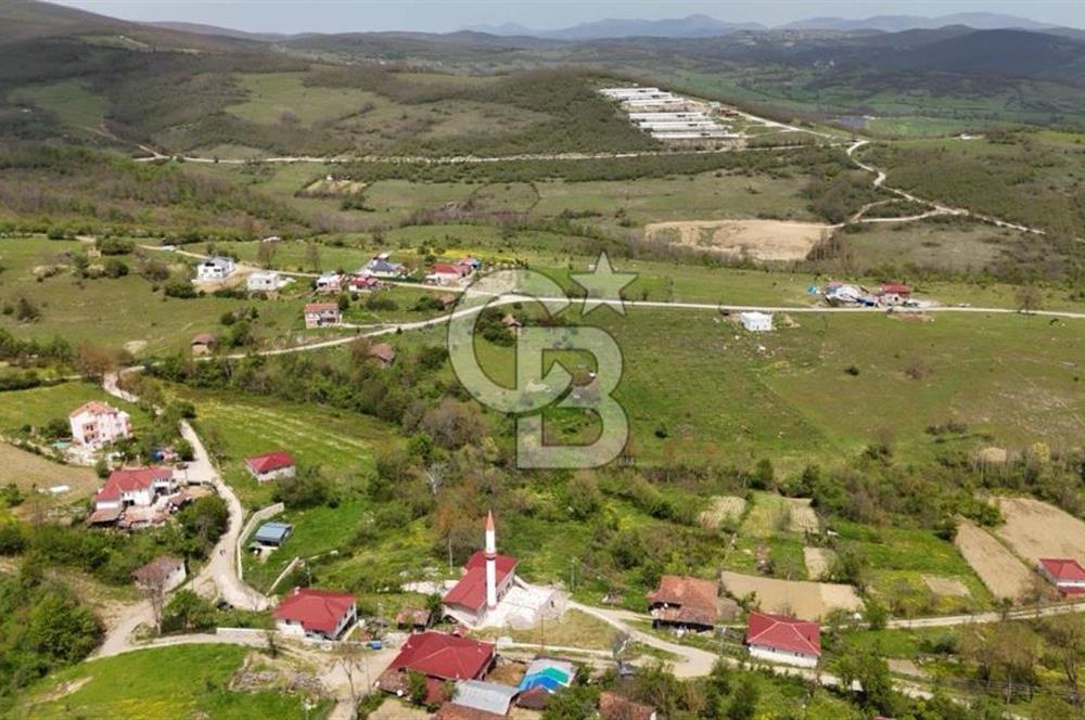 READY LIVING VINEYARD HOUSE IN THE VILLAGE FOR SALE + 837 M2 DEEDED LAND