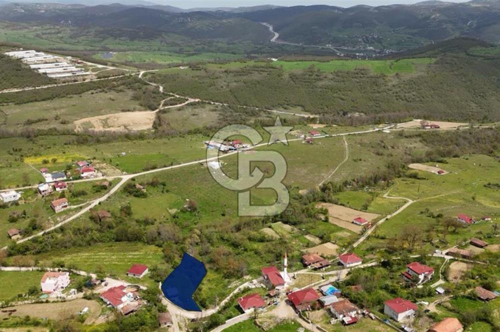 READY LIVING VINEYARD HOUSE IN THE VILLAGE FOR SALE + 837 M2 DEEDED LAND