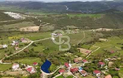 READY LIVING VINEYARD HOUSE IN THE VILLAGE FOR SALE + 837 M2 DEEDED LAND