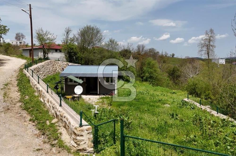 READY LIVING VINEYARD HOUSE IN THE VILLAGE FOR SALE + 837 M2 DEEDED LAND