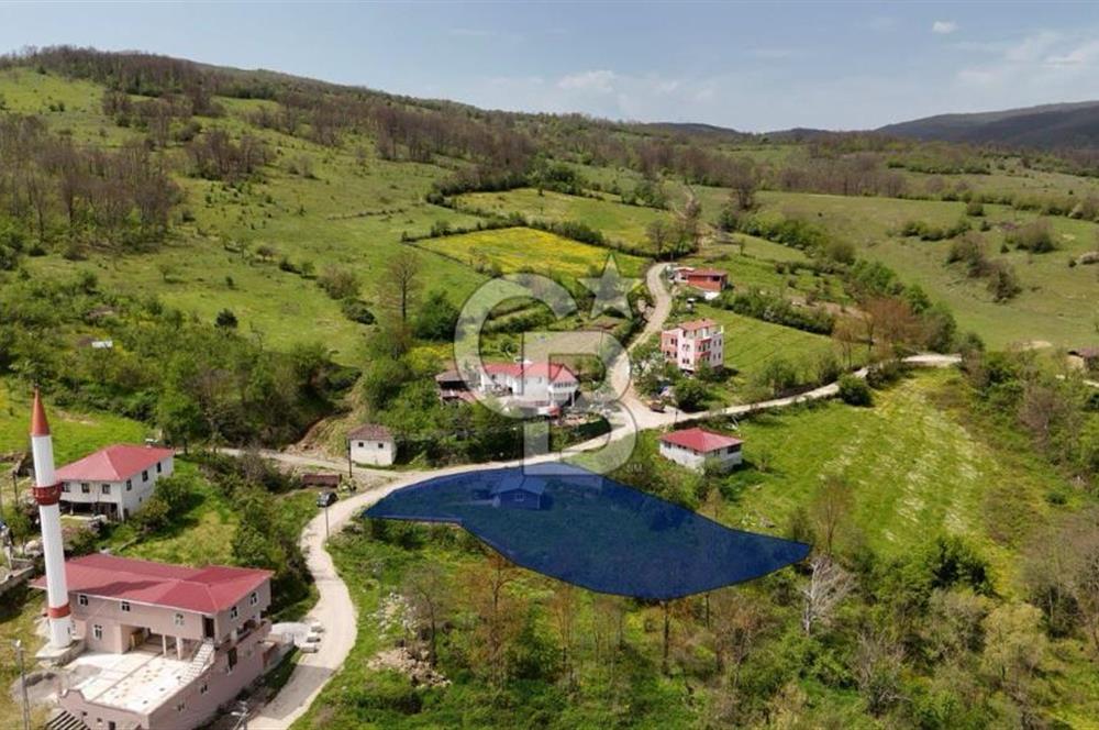 READY LIVING VINEYARD HOUSE IN THE VILLAGE FOR SALE + 837 M2 DEEDED LAND
