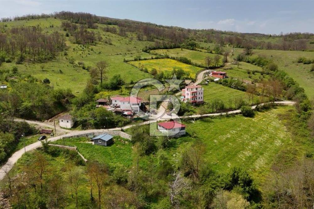 READY LIVING VINEYARD HOUSE IN THE VILLAGE FOR SALE + 837 M2 DEEDED LAND
