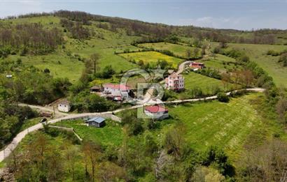 READY LIVING VINEYARD HOUSE IN THE VILLAGE FOR SALE + 837 M2 DEEDED LAND