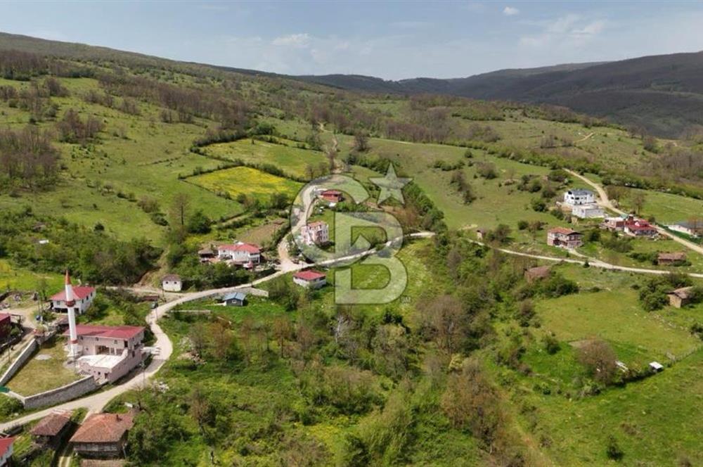 READY LIVING VINEYARD HOUSE IN THE VILLAGE FOR SALE + 837 M2 DEEDED LAND