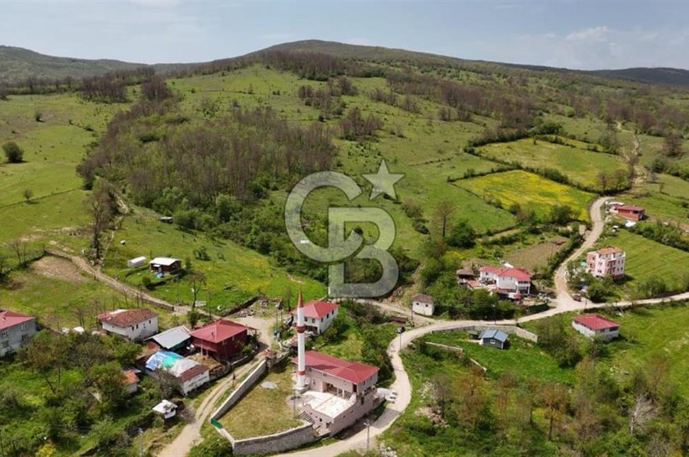 READY LIVING VINEYARD HOUSE IN THE VILLAGE FOR SALE + 837 M2 DEEDED LAND