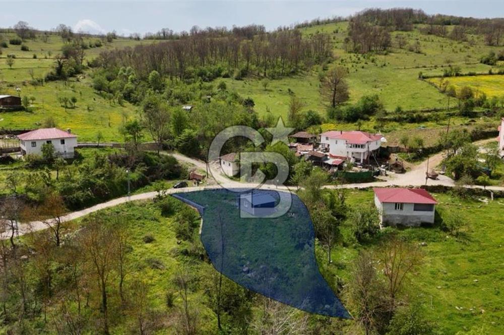 READY LIVING VINEYARD HOUSE IN THE VILLAGE FOR SALE + 837 M2 DEEDED LAND