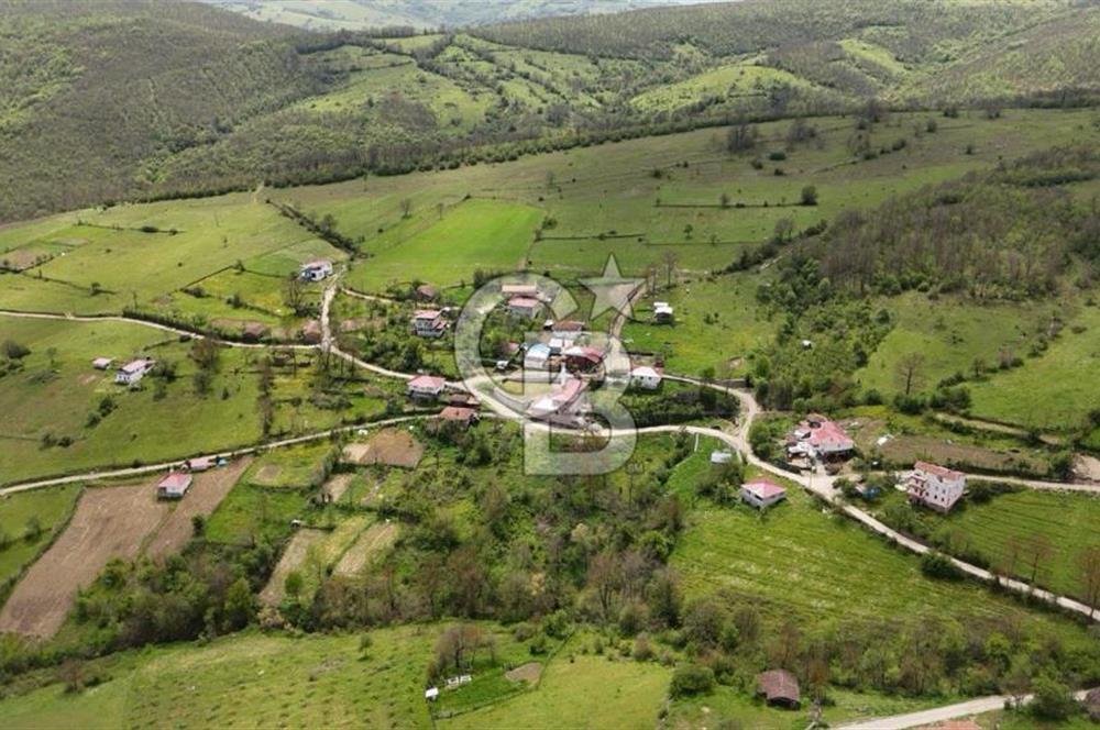 READY LIVING VINEYARD HOUSE IN THE VILLAGE FOR SALE + 837 M2 DEEDED LAND