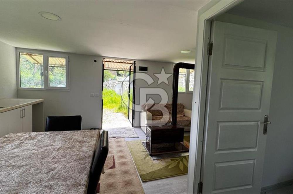 READY LIVING VINEYARD HOUSE IN THE VILLAGE FOR SALE + 837 M2 DEEDED LAND