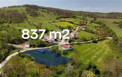 READY LIVING VINEYARD HOUSE IN THE VILLAGE FOR SALE + 837 M2 DEEDED LAND