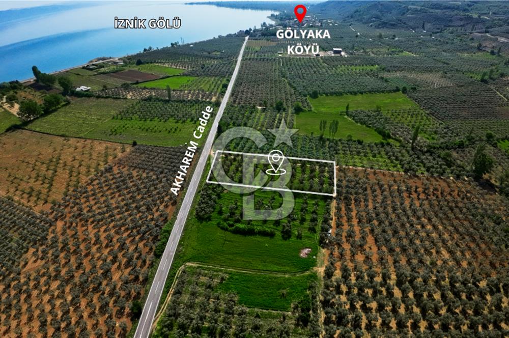 CB CLASS BURSA -ORHANGAZİ- AKHAREM 3.588 m² SATILIK ZEYTİNLİK