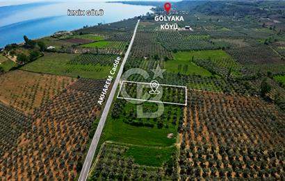 CB CLASS BURSA -ORHANGAZİ- AKHAREM 3.588 m² SATILIK ZEYTİNLİK