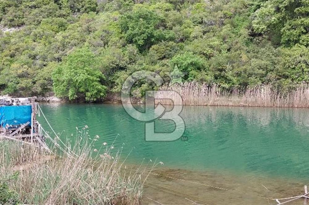  Şile Ağva Merkezde Nehir Kenarında, 2 ayrı daireli Müstakil Ev ve 800 m2 Bahçe 