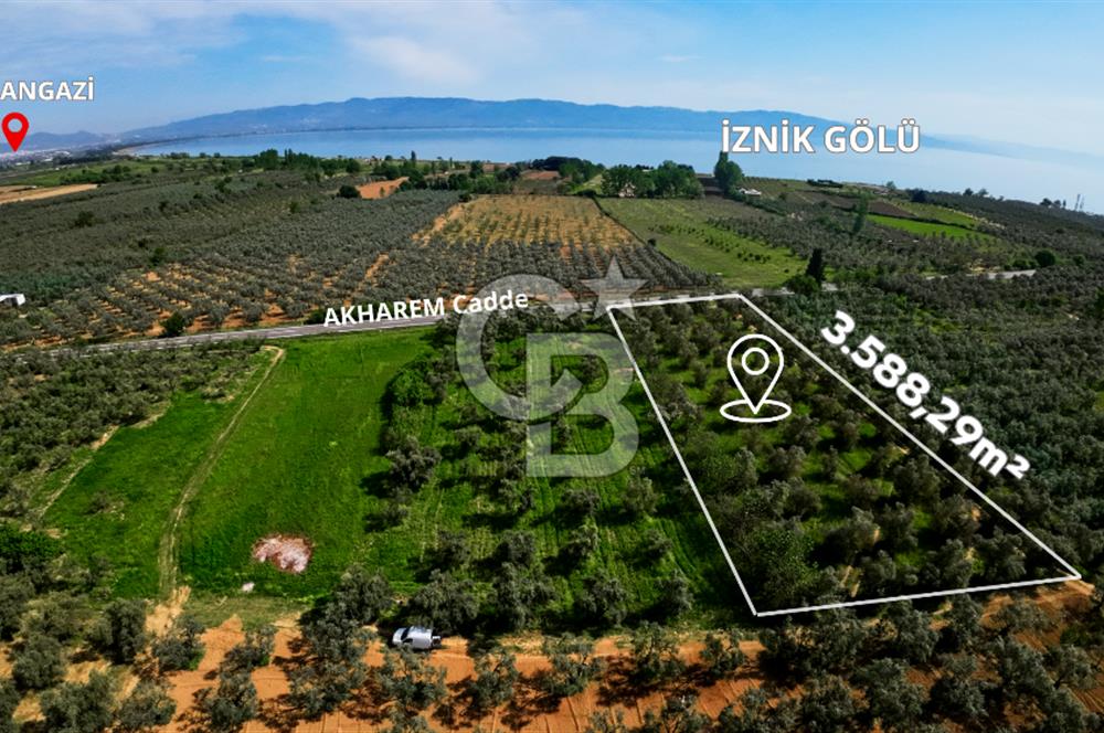 CB CLASS BURSA -ORHANGAZİ- AKHAREM 3.588 m² SATILIK ZEYTİNLİK