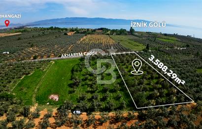 CB CLASS BURSA -ORHANGAZİ- AKHAREM 3.588 m² SATILIK ZEYTİNLİK