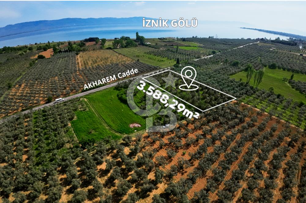 CB CLASS BURSA -ORHANGAZİ- AKHAREM 3.588 m² SATILIK ZEYTİNLİK