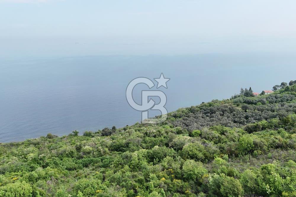 YALOVA ÇINARCIK ESENKÖYDE DENİZ MANZARALI KONUT İMARLI ARSA..!!