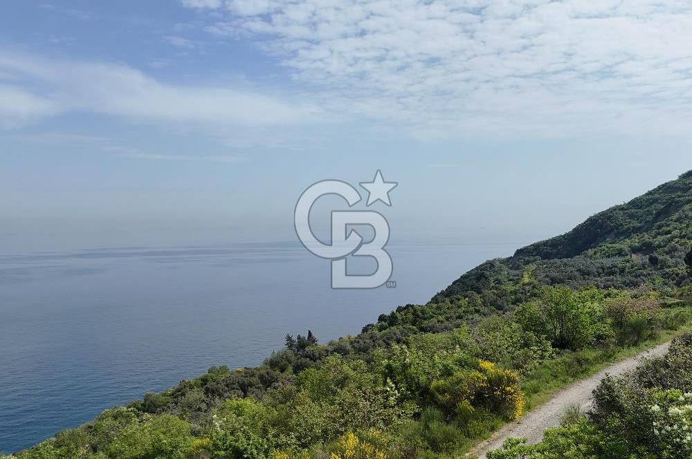 YALOVA ÇINARCIK ESENKÖYDE DENİZ MANZARALI KONUT İMARLI ARSA..!!