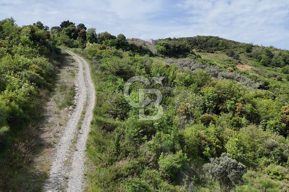 YALOVA ÇINARCIK ESENKÖYDE DENİZ MANZARALI KONUT İMARLI ARSA..!!