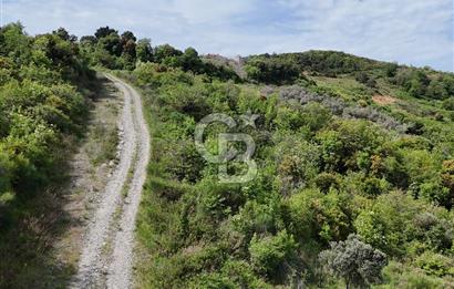 YALOVA ÇINARCIK ESENKÖYDE DENİZ MANZARALI KONUT İMARLI ARSA..!!