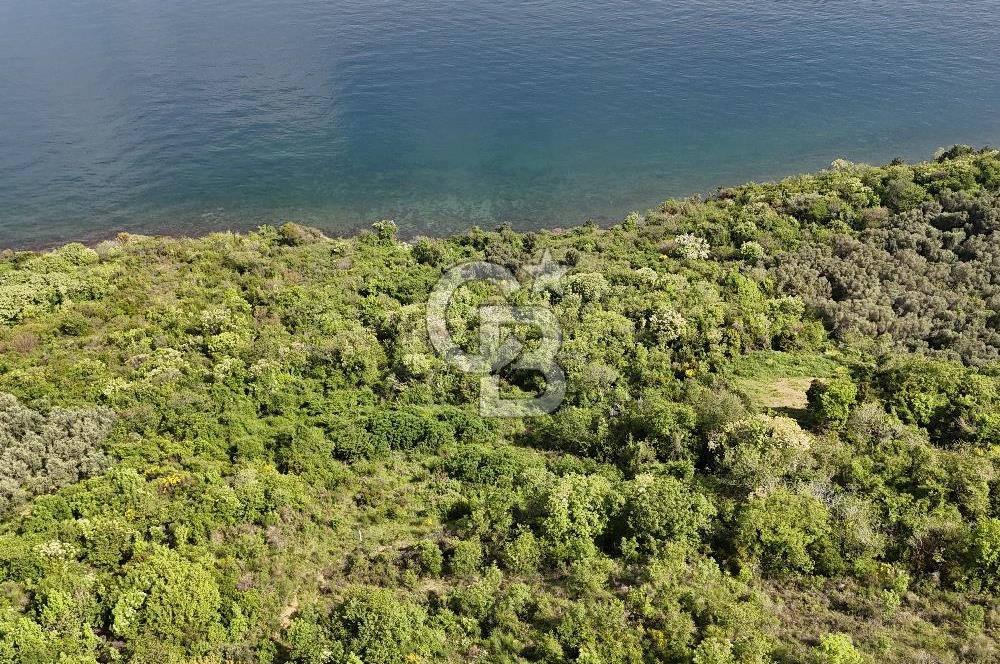 YALOVA ÇINARCIK ESENKÖYDE DENİZ MANZARALI KONUT İMARLI ARSA..!!