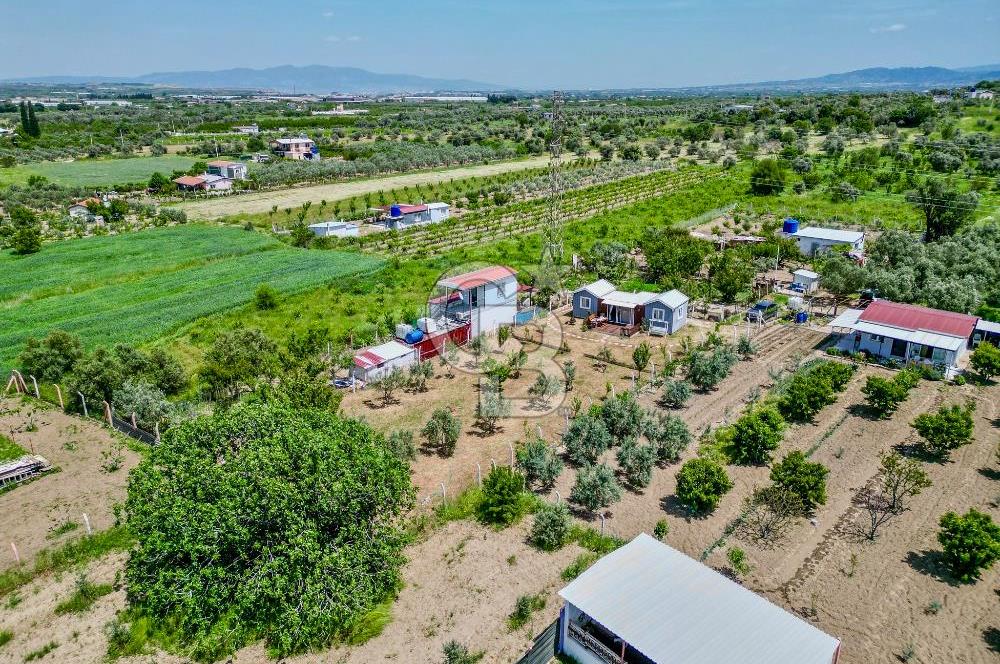 KEMALPAŞA ARMUTLU DA MÜSTAKİL TAPU SATILIK BAĞ