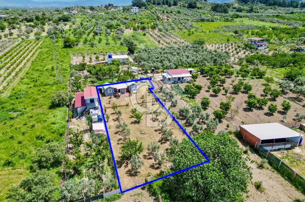 KEMALPAŞA ARMUTLU DA MÜSTAKİL TAPU SATILIK BAĞ