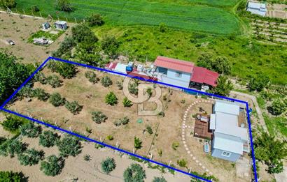 KEMALPAŞA ARMUTLU DA MÜSTAKİL TAPU SATILIK BAĞ