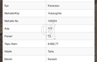 Karacasu Yukarıgörlede Satılık Zeytinlik