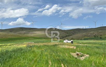 CB CİTİY'DEN ULUDERE MAHALLESİNDE ELEKTİRİĞİ OLAN SATILIK TARLA
