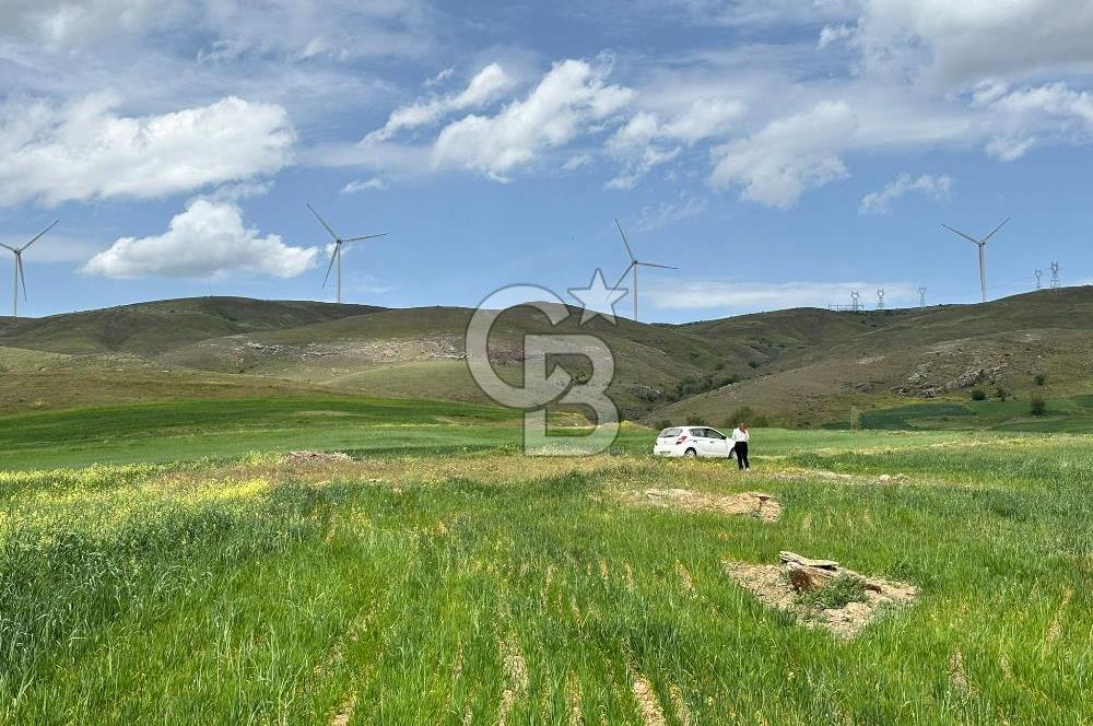 CB CİTİY'DEN ULUDERE MAHALLESİNDE ELEKTİRİĞİ OLAN SATILIK TARLA
